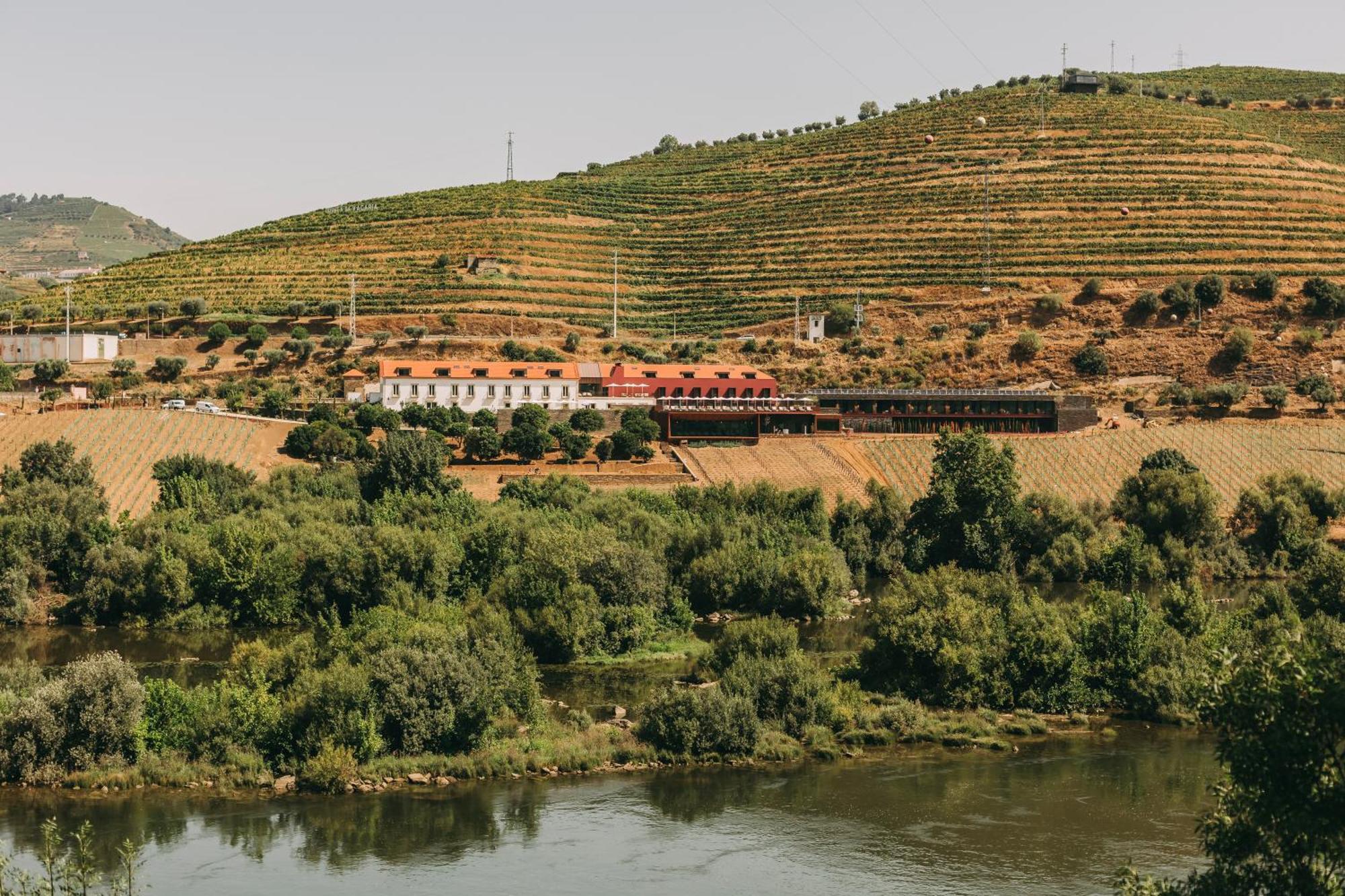 Torel Quinta Da Vacaria - Douro Valley Peso da Régua Exteriör bild